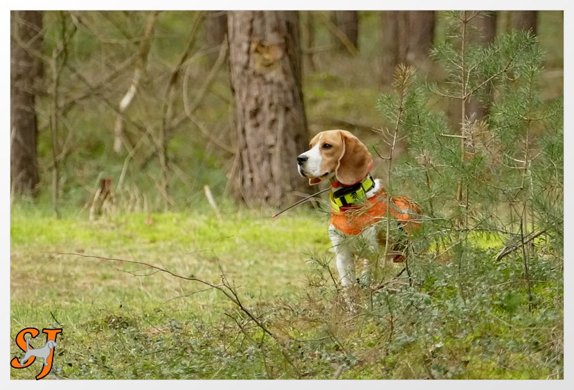 2023-03-19-Tiara 0858AAA--HP-neu